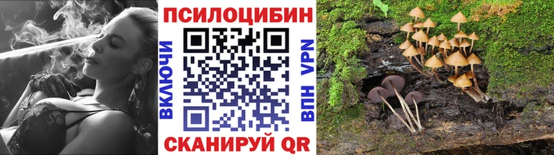 Купить закладки Семикаракорск Псилоцибиновые грибы MAGIC MUSHROOMS